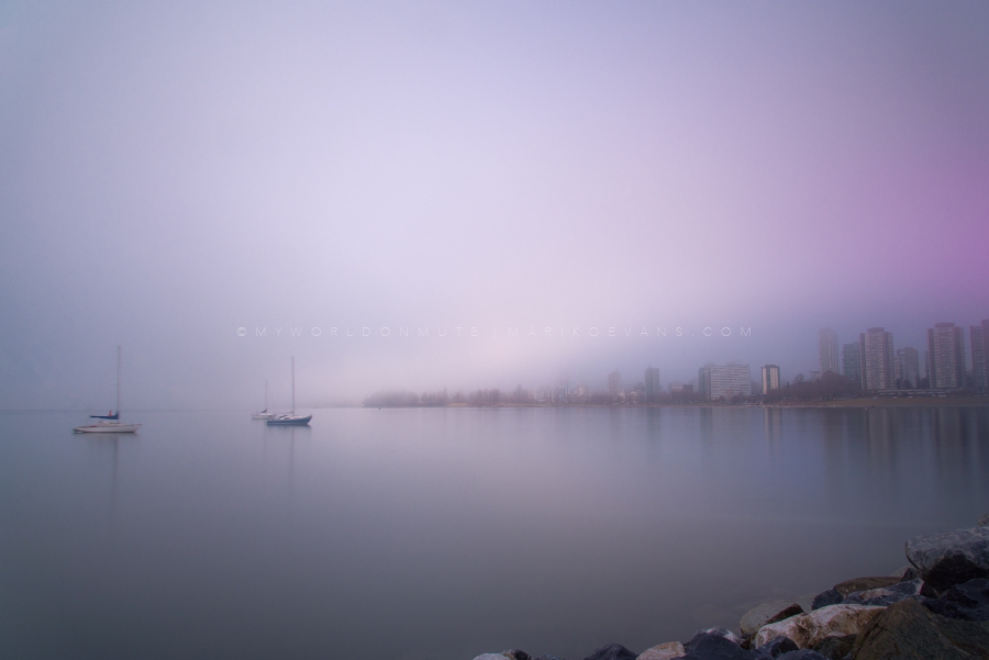 DSC_1175-900