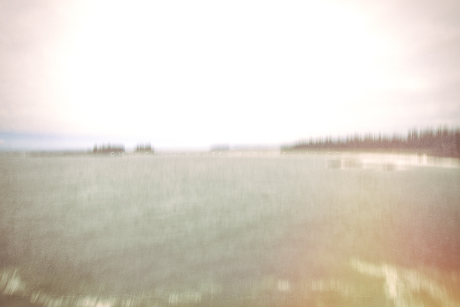DSC_6415-Edit-Edit _900
