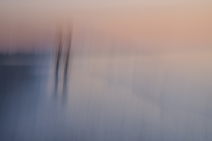 DSC_9067 _900